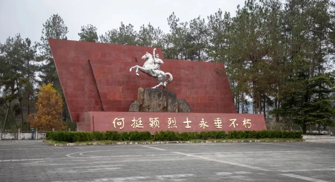 图片 图片