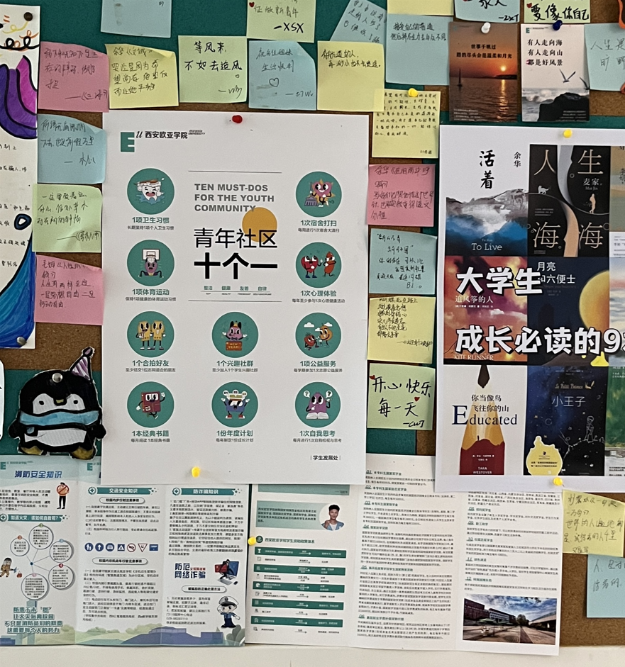 图片 图片