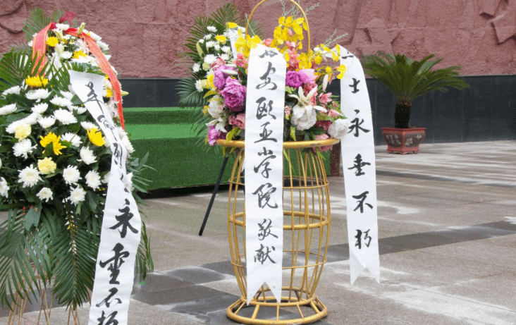 图片 图片