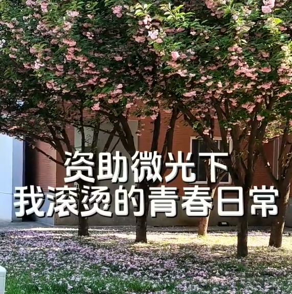 图片 图片