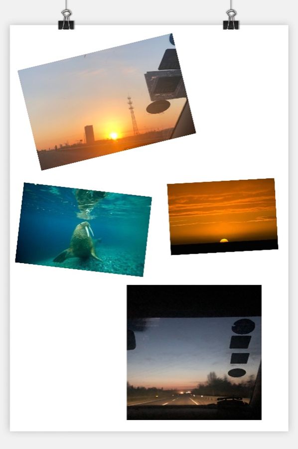 undefined undefined